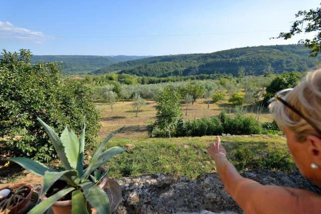 Cozy Istrian House Guest House Izola Luaran gambar