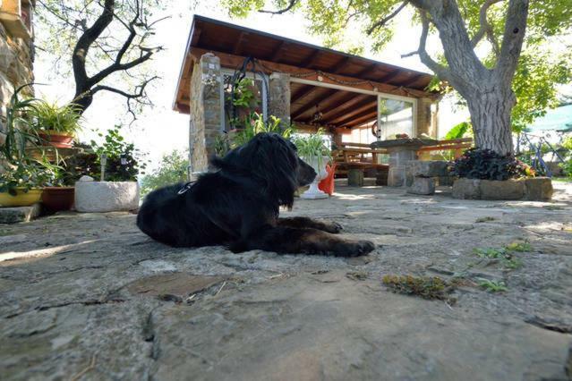 Cozy Istrian House Guest House Izola Luaran gambar