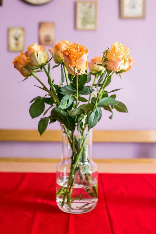 Cozy Istrian House Guest House Izola Luaran gambar