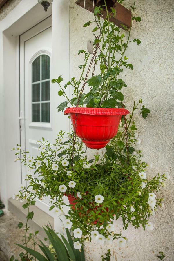 Cozy Istrian House Guest House Izola Luaran gambar