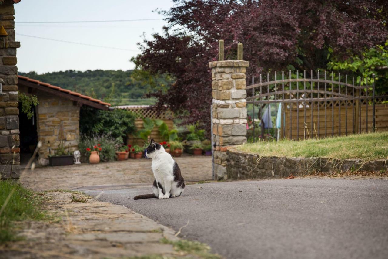 Cozy Istrian House Guest House Izola Luaran gambar