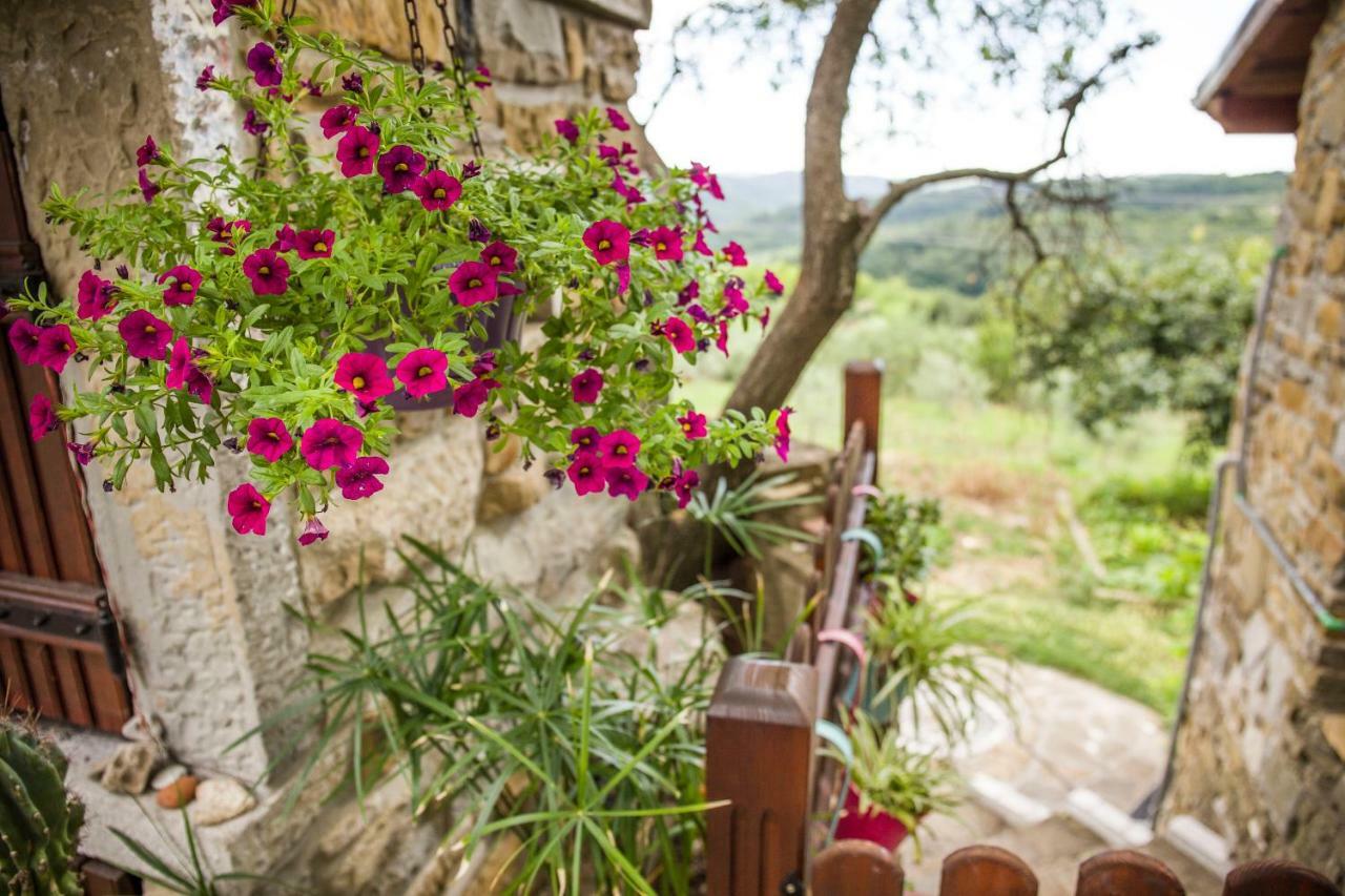 Cozy Istrian House Guest House Izola Luaran gambar