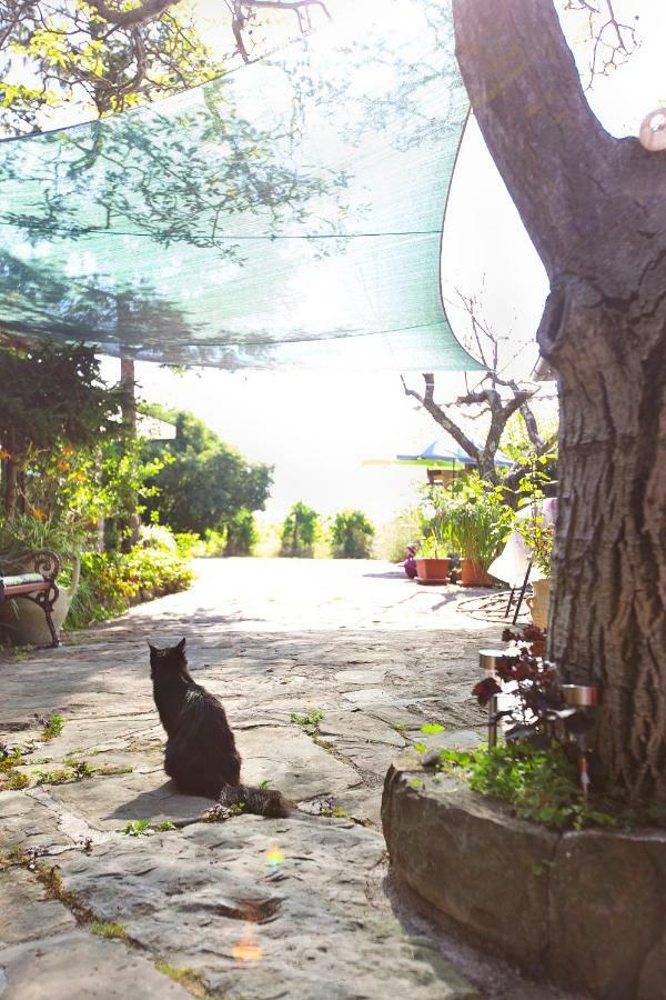 Cozy Istrian House Guest House Izola Luaran gambar