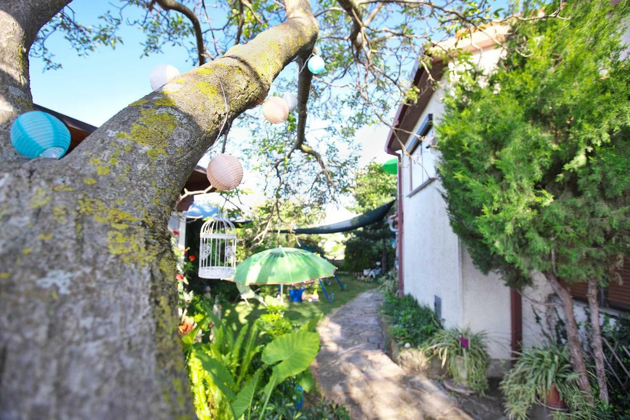 Cozy Istrian House Guest House Izola Luaran gambar