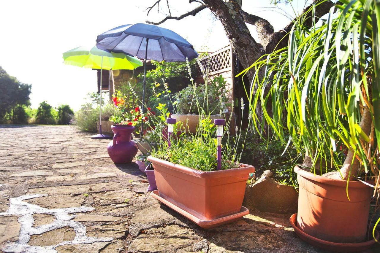 Cozy Istrian House Guest House Izola Luaran gambar